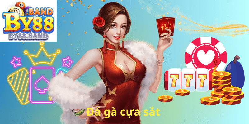 Đá gà cựa sắt
