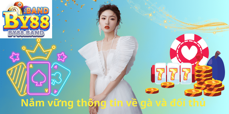 Nắm vững thông tin về gà và đối thủ